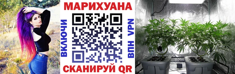 A-PVP Онега