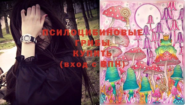 молекула духа Балахна