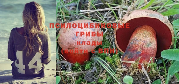 молекула духа Балахна