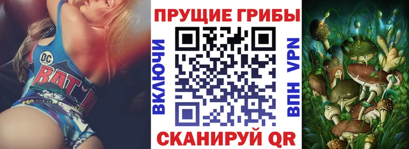 как найти закладки  omg   Галлюциногенные грибы GOLDEN TEACHER  Онега 
